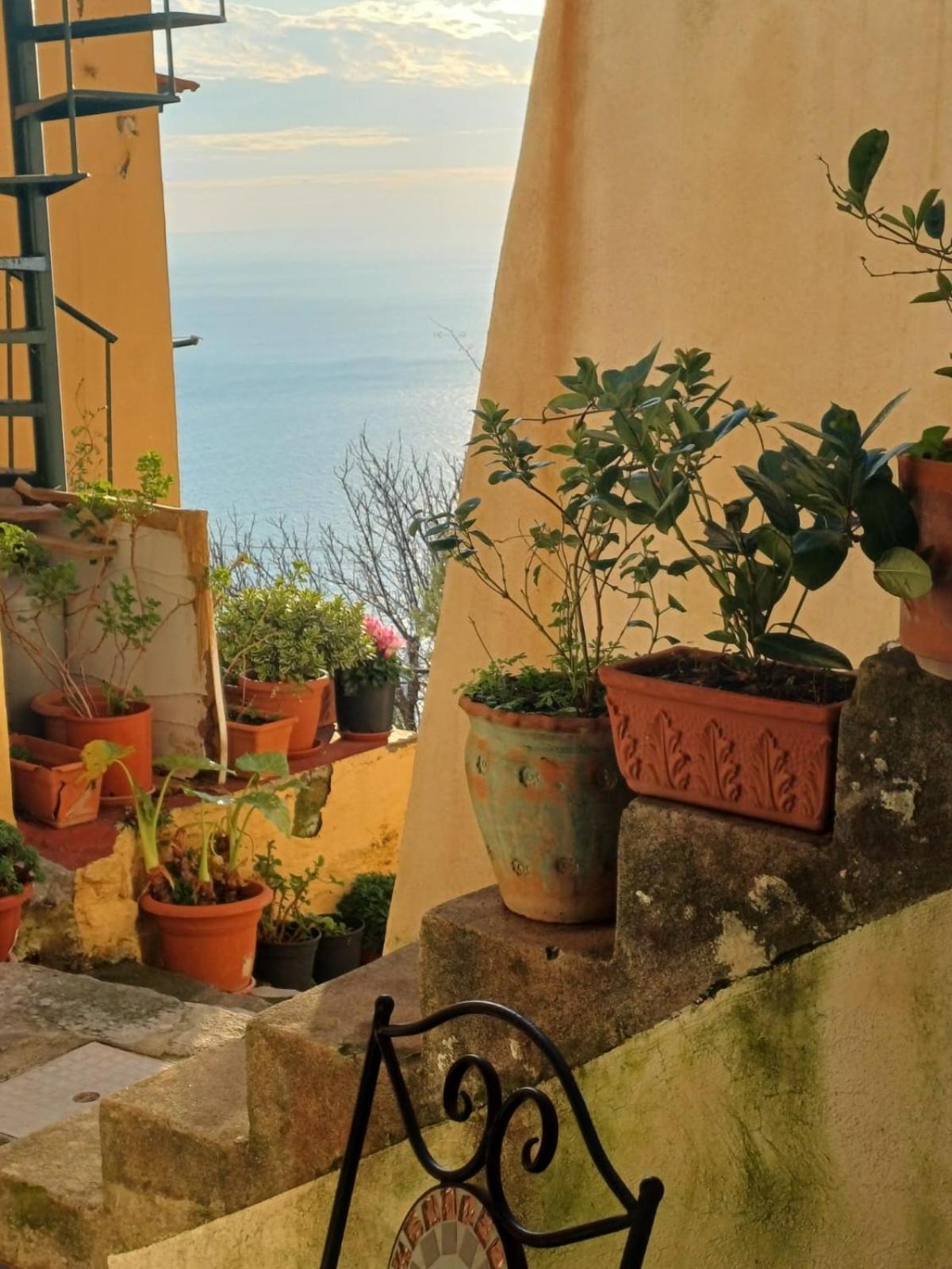 Rifugio Stellato Bed & Breakfast Conca dei Marini Eksteriør bilde